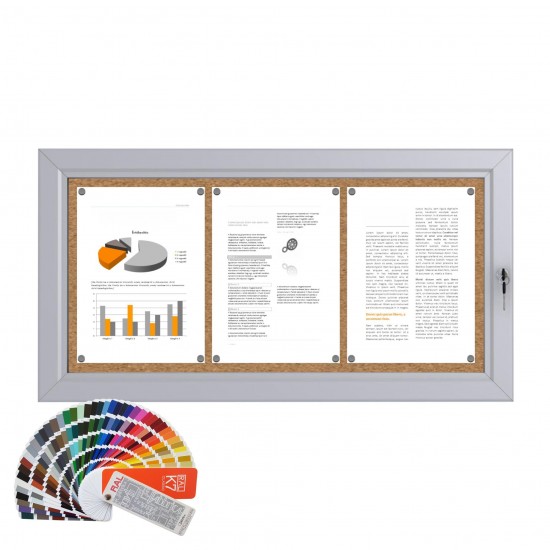 RAL Notice Board &ndash; Cork 3 x DIN A4