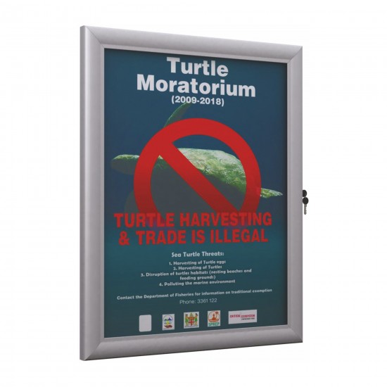 Poster Board Weather Resistant - 16 x DIN A4 (841x1188 mm) 